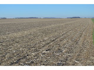 Tract 3 - FARMLAND AUCTION - 165.5+/- ACRES OFFERED IN 5 TRACTS OR COMBINATIONS IN EAST ALLEN COUNTY